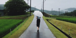 what is public liability insurance